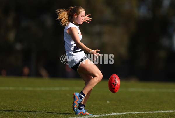 Coates Talent League Girls 2023 - Northern Knights v Dandenong Stingrays - A-41168791
