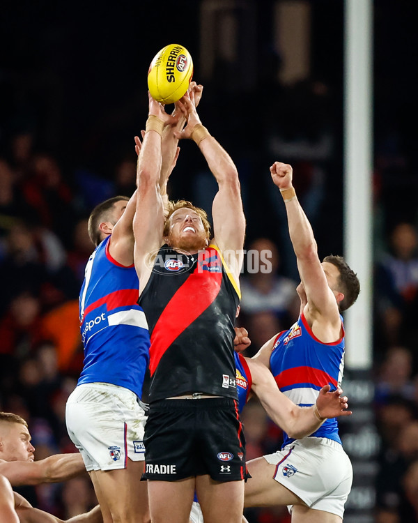 AFL 2023 Round 19 - Essendon v Western Bulldogs - A-41366628