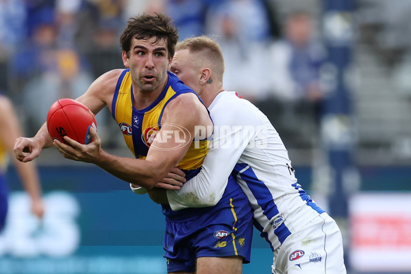 AFL 2023 Round 20 - West Coast v North Melbourne - A-41518266
