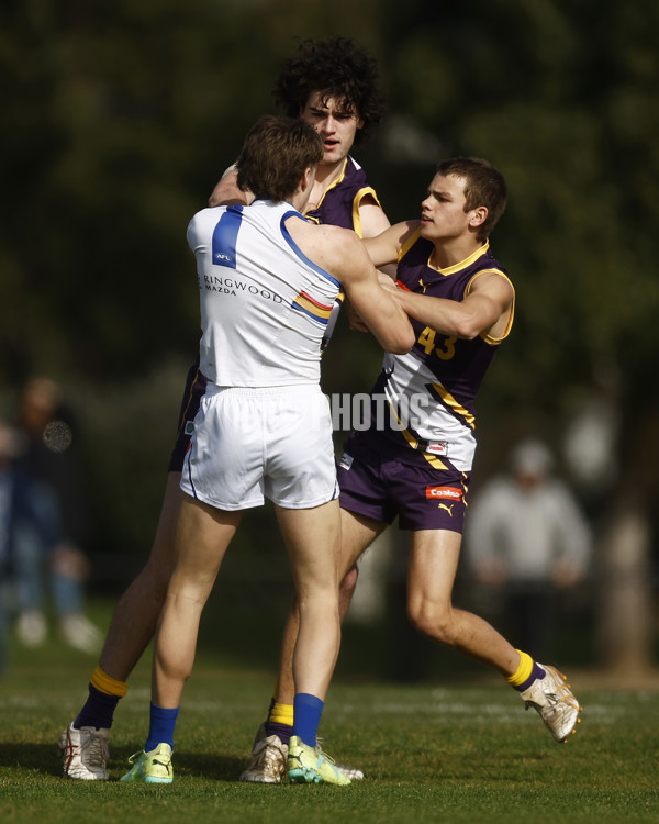 Coates Talent League Boys 2023 Round 15 - Oakleigh Chargers v Eastern Ranges - A-41682851