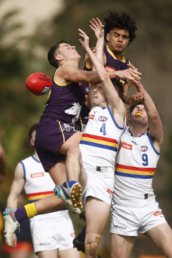 Coates Talent League Boys 2023 Round 15 - Oakleigh Chargers v Eastern Ranges - A-41682897