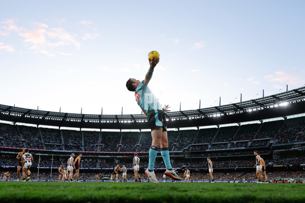 AFL 2023 Round 21 - Hawthorn v Collingwood - A-41710852