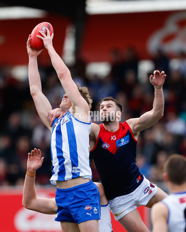 AFL 2023 Round 21 - North Melbourne v Melbourne - A-41746211