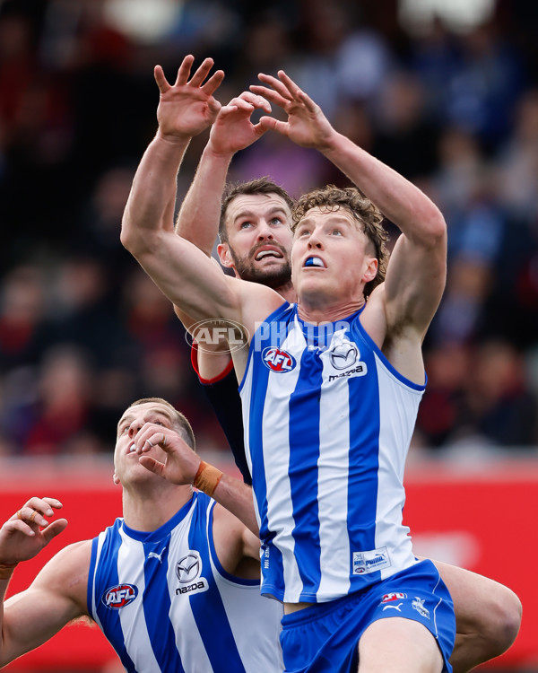 AFL 2023 Round 21 - North Melbourne v Melbourne - A-41748688