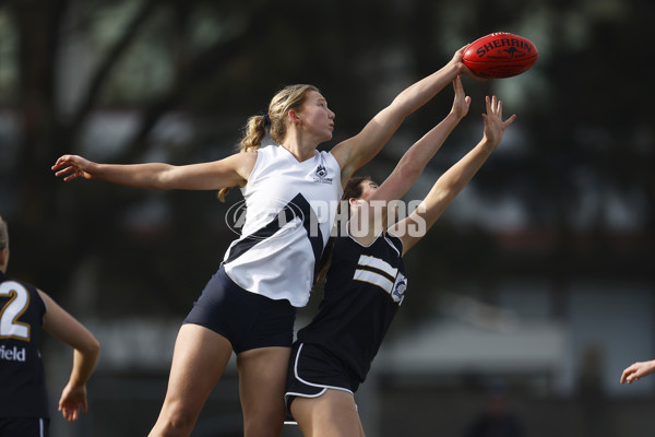 2023 Herald Sun Shield - Division 1 Senior Girls Grand Final - A-41852220
