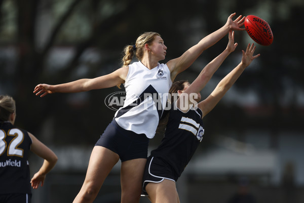 2023 Herald Sun Shield - Division 1 Senior Girls Grand Final - A-41870123