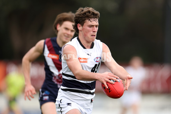 Coates League Boys 2023 - Sandringham v Northern Knights - A-42123033