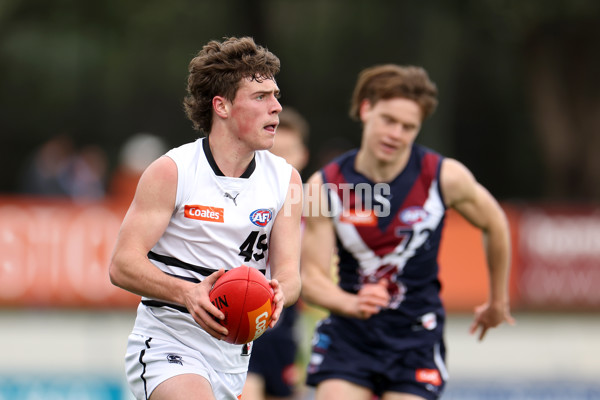 Coates League Boys 2023 - Sandringham v Northern Knights - A-42124185