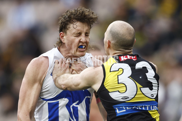 AFL 2023 Round 23 - Richmond v North Melbourne - A-42144511