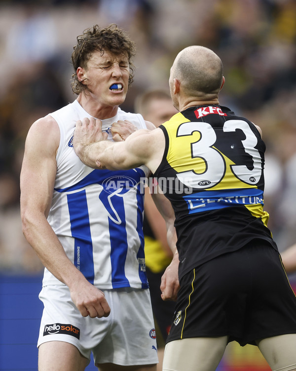 AFL 2023 Round 23 - Richmond v North Melbourne - A-42144516