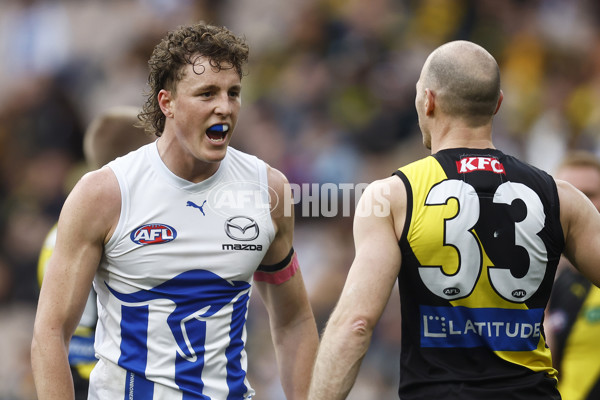 AFL 2023 Round 23 - Richmond v North Melbourne - A-42144517