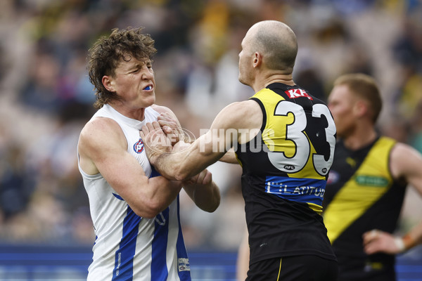 AFL 2023 Round 23 - Richmond v North Melbourne - A-42144520