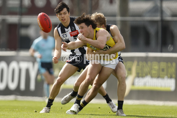 VFL 2023 Wildcard Round - Collingwood v Richmond - A-42494934
