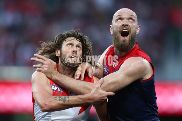 Photographers Choice - AFL 2023 Round 24 - A-42539016