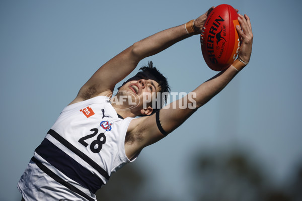 Coates League Boys 2023 - Northern Knights v Oakleigh Chargers - A-42666500