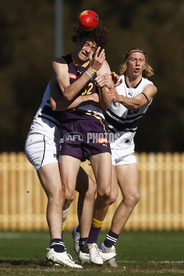 Coates League Boys 2023 - Northern Knights v Oakleigh Chargers - A-42669065