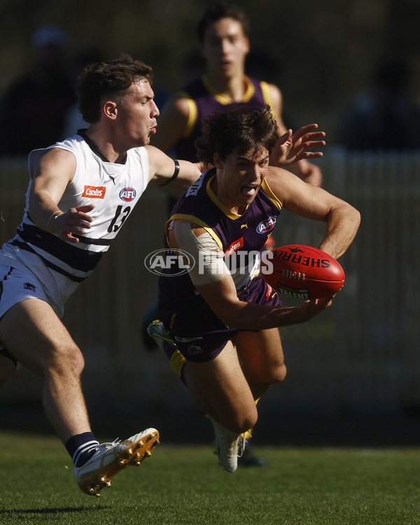 Coates League Boys 2023 - Northern Knights v Oakleigh Chargers - A-42671793