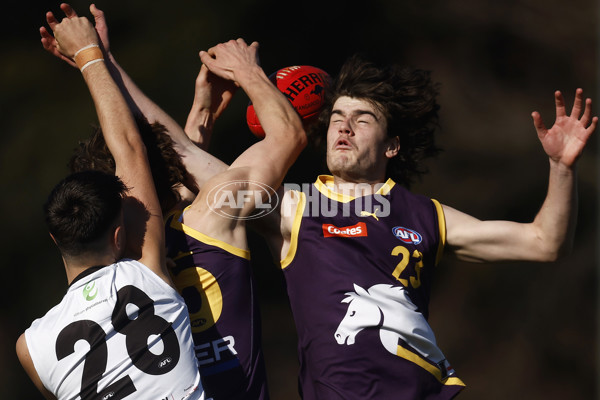 Coates League Boys 2023 - Northern Knights v Oakleigh Chargers - A-42671827