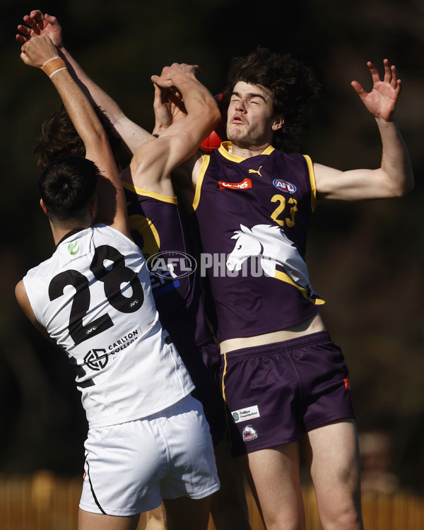 Coates League Boys 2023 - Northern Knights v Oakleigh Chargers - A-42671835