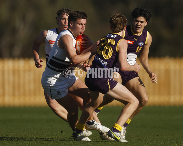 Coates League Boys 2023 - Northern Knights v Oakleigh Chargers - A-42674276