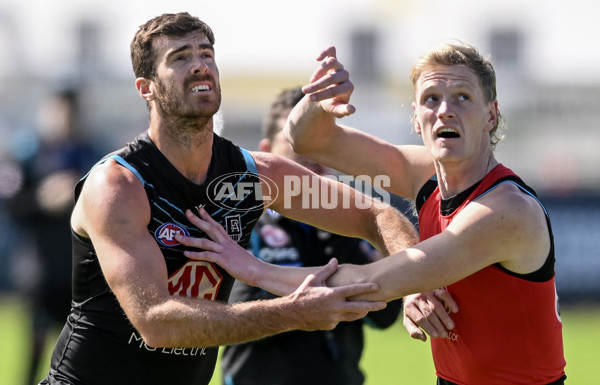 AFL 2023 Training - Port Adelaide 050923 - A-42804010