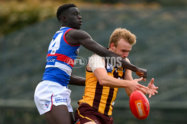 VFL 2023 Semi Final — Box Hill Hawks v Footscray Bulldogs - A-43010707