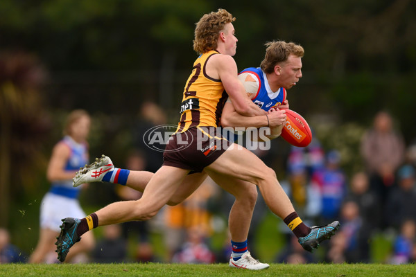 VFL 2023 Semi Final — Box Hill Hawks v Footscray Bulldogs - A-43013470