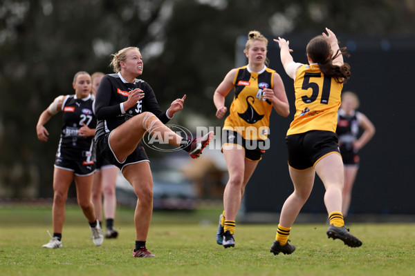 Coates Talent League Girls 2023 - Dandenong Stingrays v GWV Rebels - A-43056849