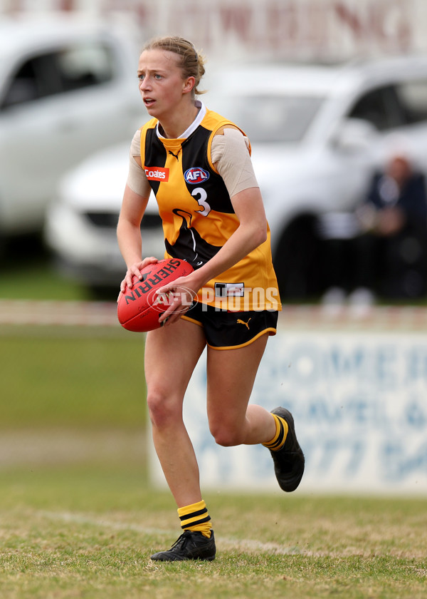 Coates Talent League Girls 2023 - Dandenong Stingrays v GWV Rebels - A-43056859