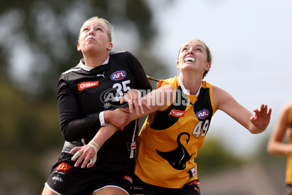 Coates Talent League Girls 2023 - Dandenong Stingrays v GWV Rebels - A-43059228