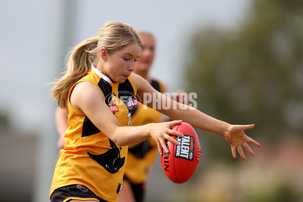 Coates Talent League Girls 2023 - Dandenong Stingrays v GWV Rebels - A-43066168