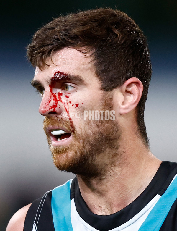 Photographers Choice - AFL 2023 Finals Week 01 - A-43083729