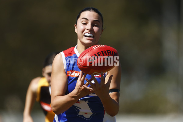 Coates League Girls 2023 - Dandenong Stingrays v Oakleigh Chargers - A-43182429
