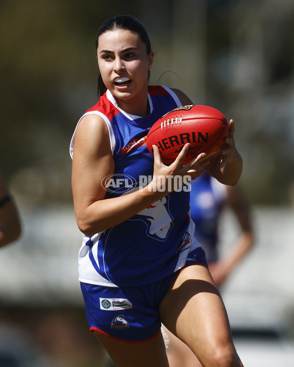 Coates League Girls 2023 - Dandenong Stingrays v Oakleigh Chargers - A-43182431