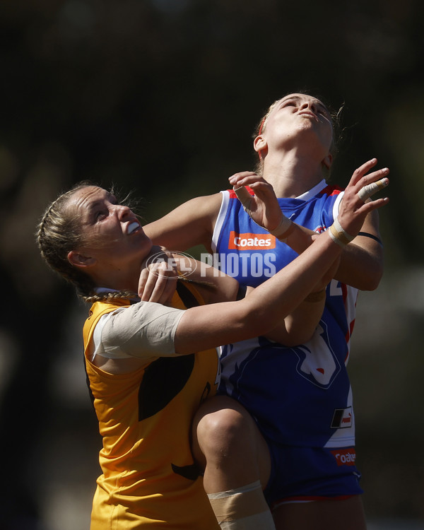 Coates League Girls 2023 - Dandenong Stingrays v Oakleigh Chargers - A-43182439