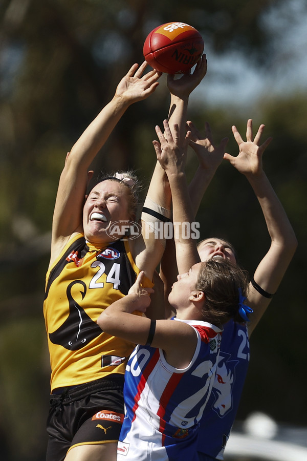 Coates League Girls 2023 - Dandenong Stingrays v Oakleigh Chargers - A-43185094