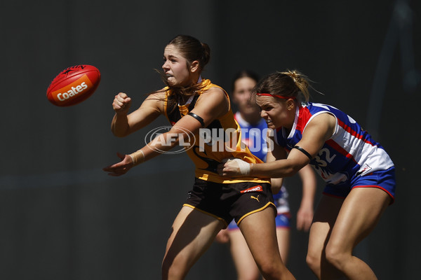 Coates League Girls 2023 - Dandenong Stingrays v Oakleigh Chargers - A-43185593
