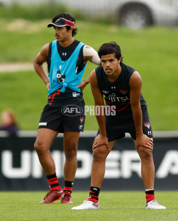 AFL 2024 Training - Essendon 220124 - A-45914076