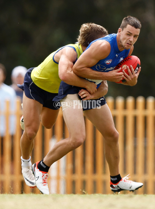 AFL 2024 Training - North Melbourne 260124 - A-45925967