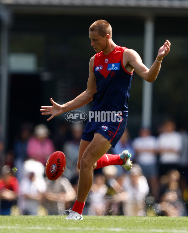 AFL 2024 Match Simulation - Melbourne v Richmond - A-46013048