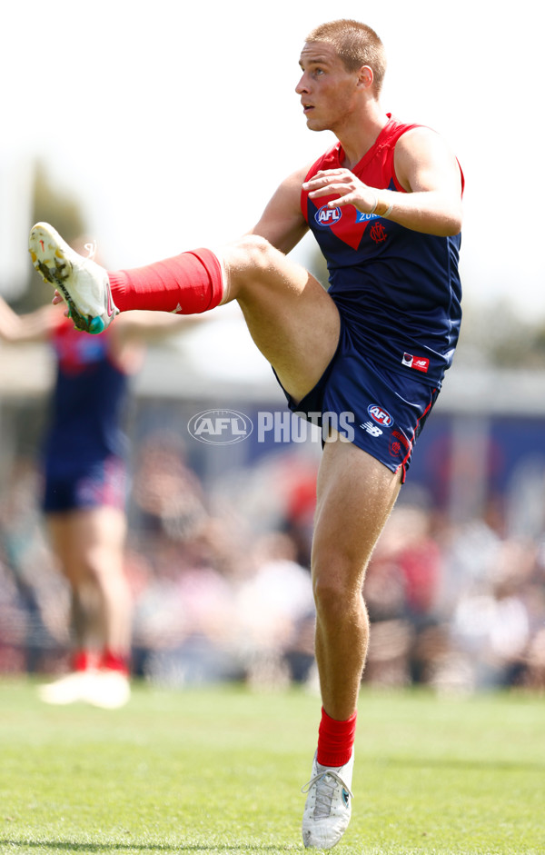 AFL 2024 Match Simulation - Melbourne v Richmond - A-46014391