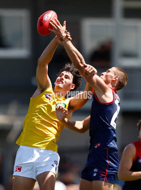 AFL 2024 Match Simulation - Melbourne v Richmond - A-46014392