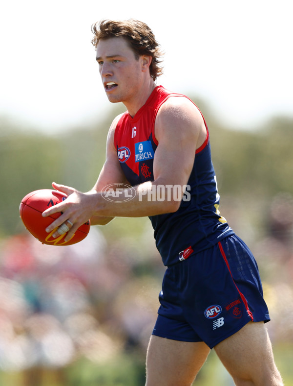 AFL 2024 Match Simulation - Melbourne v Richmond - A-46014429