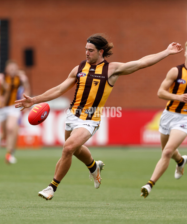AFL 2024 Match Simulation - Western Bulldogs v Hawthorn - A-46045904