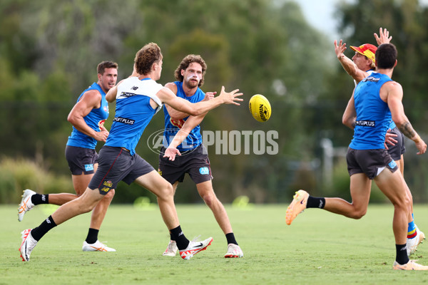 AFL 2024 Training - Gold Coast 270224 - A-46066844