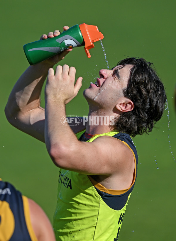 AFL 2024 Training - Adelaide 080324 - A-46378785
