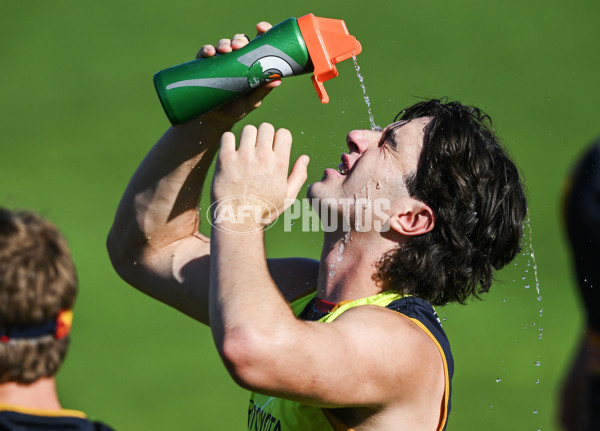 AFL 2024 Training - Adelaide 080324 - A-46381729