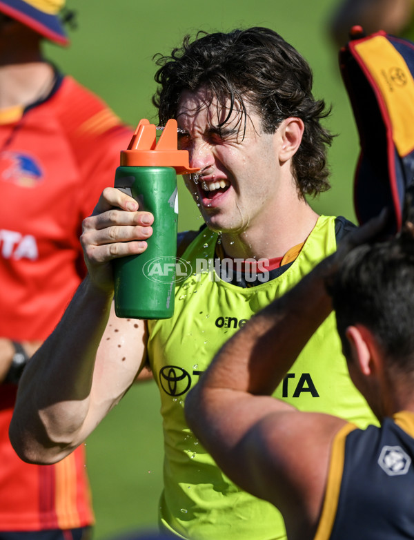 AFL 2024 Training - Adelaide 080324 - A-46381731