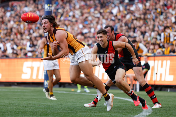 AFL 2024 Round 01 - Essendon v Hawthorn - A-46513899