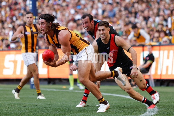 AFL 2024 Round 01 - Essendon v Hawthorn - A-46513902